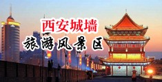 大黑鸡巴操小嫩逼电影中国陕西-西安城墙旅游风景区